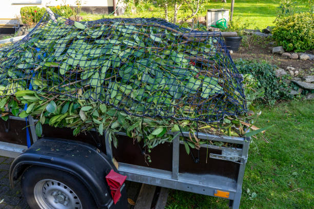 Best Construction Debris Removal  in Pingree Grove, IL